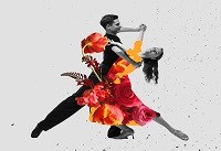 From Waltz to Tango: Master the Art of Ballroom with Sulekha in New York, NY