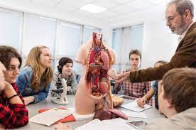 Understanding Anatomy and Physiology in New York, NY