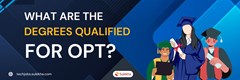 OPT Blogs