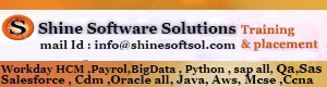 Shine Software Solutions