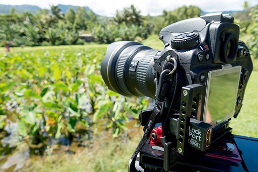 ShutterClicks By KC in Suwanee, GA