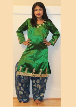 Costume Rentals By Sachinmayi Menon in Issaquah, WA