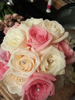 Shahzadi Events in Spring Arbor, MI