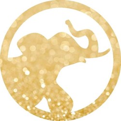 Apsara Events in Clearwater, FL