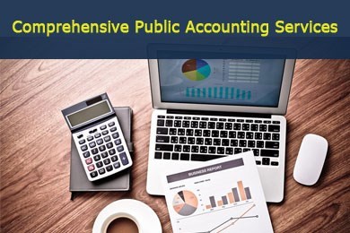 Comprehensive Public Accounting Services