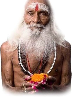 Pandith Thulasi Astrologer & Psychic in Scarborough, ON