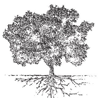 Viera Photographics in Cotati, CA