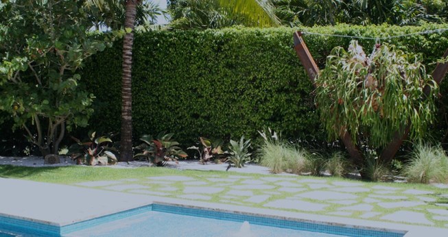 East Everglades Landscaping And Nursery in Miami, FL