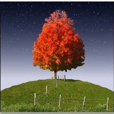 Indian Summer Pictures