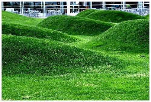 AMS Landscaping in Phoenix, AZ