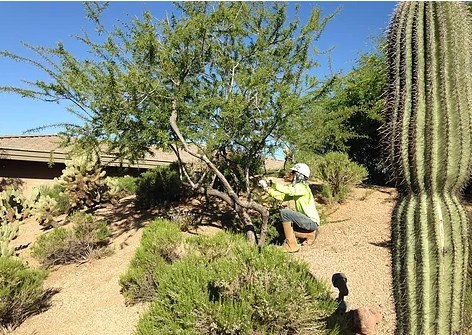 DLC Resources Inc in Phoenix, AZ