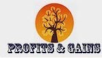 Profits And Gains Accounting And Tax Consultants in Wesley Chapel, FL
