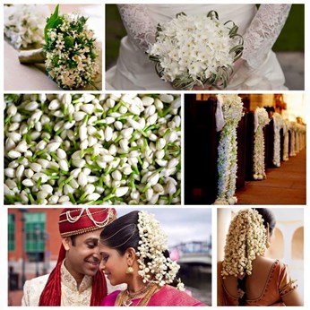 Events By Adam Afara in Irvine, CA