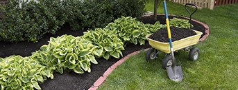 Jazzbo Landscaping in Worcester, MA