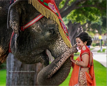 Events By Hala in Dallas, TX