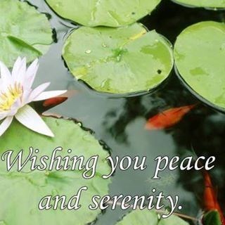 Spa A Peel Studio in Tecumseh, MI