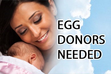 Indian Egg Donor Nationwide Opportunity