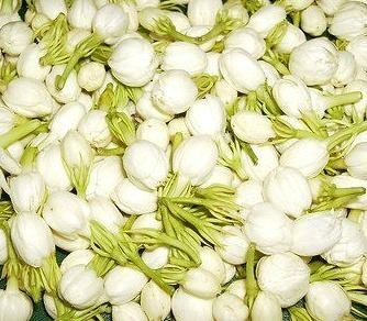 919 Indian Flowers in Stumpy Point, NC