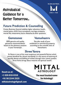 Renowned Astrologer & Vastu Consultant - Mr. N S Mittal in Chicago, IL