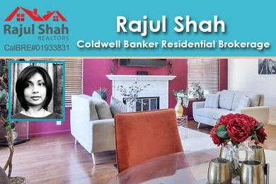Rajul Shah Realtor in Dublin, CA