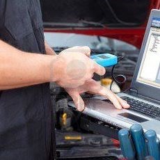 Chip Culpeppers Automotive in Bascom, FL