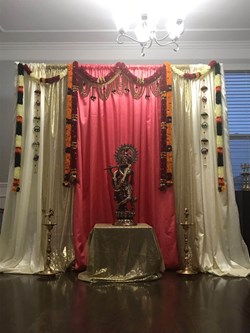 Fiesta Event Decors And Party Planners in Detroit, MI