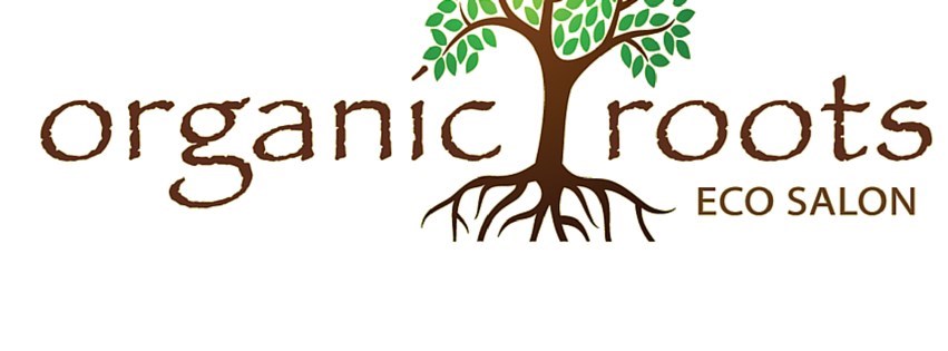 Organic Roots Eco Salon in Skokie, IL