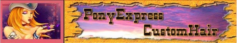 PonyExpress Custom Hair in Albuquerque, NM