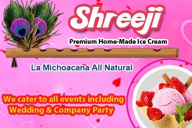 Shreeji Premium Home-Made Ice Cream