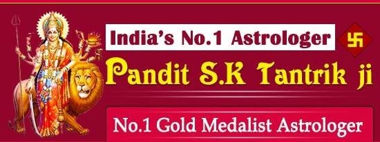 Pandit S K Tantrik Ji Astrologer in New York, NY