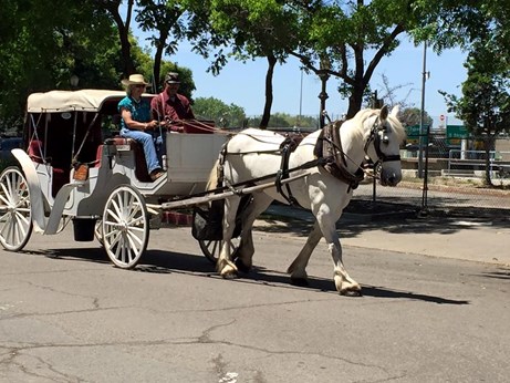Sterling Wine Carriages in San Francisco, CA