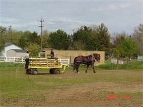 Double U Carriages in Davis, CA