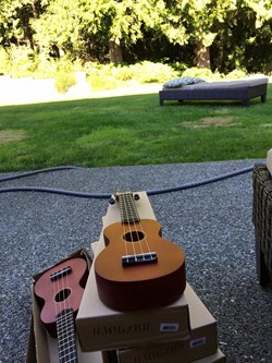 4/4 School Of Music in Redmond, WA