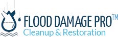 Flood Damage Pro in Arlington, VA