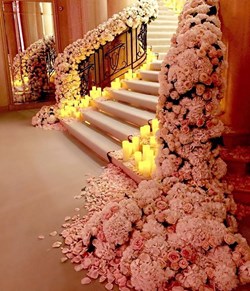 Rio Roses in Miami, FL