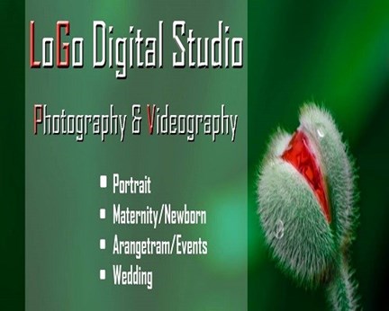 LoGo Digital Studio in Cary, NC