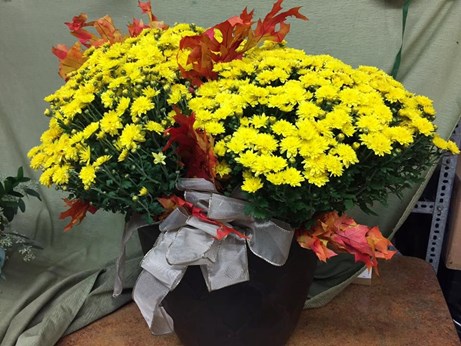 Spring Bouquet Flowers And Gifts in Cincinnati, OH