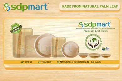 SDP Mart Inc in Little Elm, TX