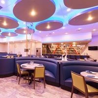 Peacock Elite in Plano, TX