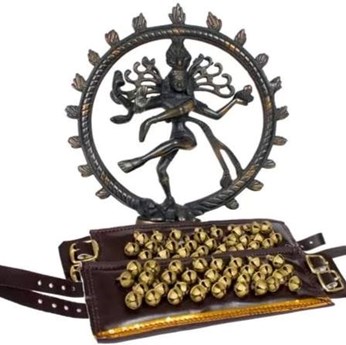 Kuchipudi Art Academy Of Dance in Saint Louis, MO