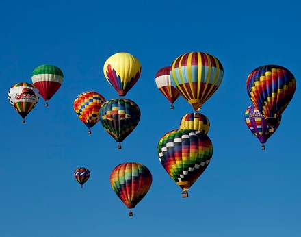 Harold King Photography in High Point, NC