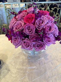 Direct My Day in San Ramon, CA