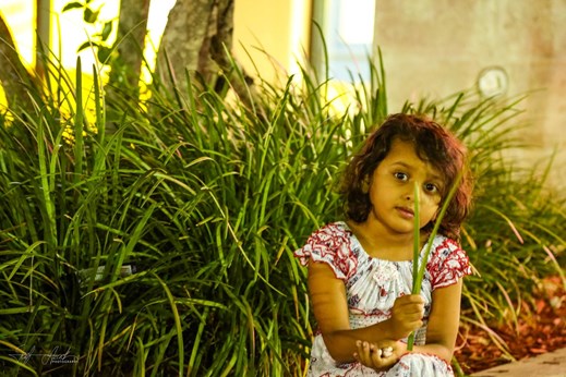 Saif Azad Photographer in Queens Village, NY