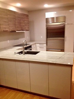 Bodhi Tree Construction in Fremont, CA