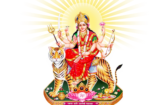 Pandith Goutham Guruji Astrologer in North York, ON