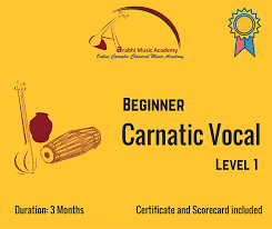 Komaravolu Sai Anupama Classical Musician in Flushing, NY