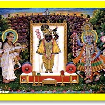 Shrinathji Vegetarian Cuisine in Wesley Chapel, FL