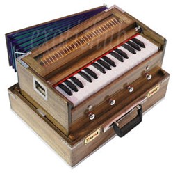 Shibanwita Ghosh Musician in Irving, TX