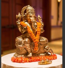 Malleret Designs in Austin, TX