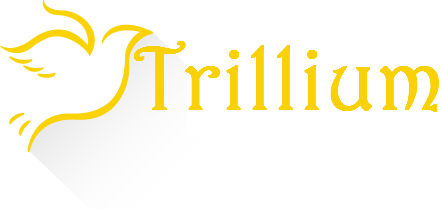 Trillium Driving School in Lawrenceville, GA